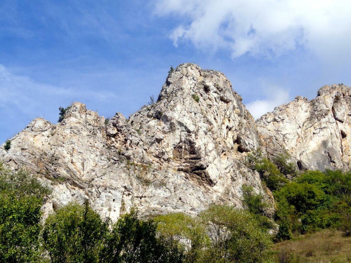 Hotel Aleksievata Kashta Gurgulyat Екстер'єр фото